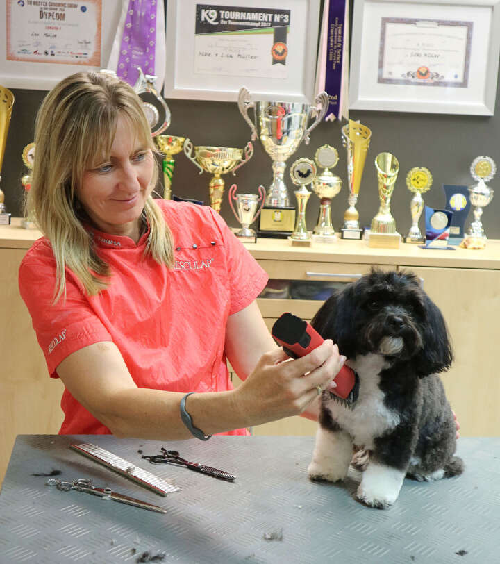 AESCULAP Akkuschermaschine Favorita CL